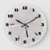 Zand Dollar Strand Zeeschelpen Strand Natuurlijke  Grote Klok (Voorkant)