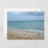 Zand en Zeemeeuwen Briefkaart (Voorkant / Achterkant)