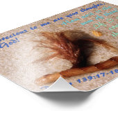 Zand met psalm 139:17-18 foto afdruk (Hoek)