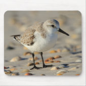 Zand Piper en Seashells Muismat (Voorkant)