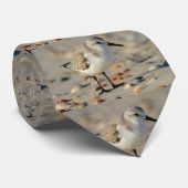 Zand Piper en Seashells Stropdas (Opgerold)