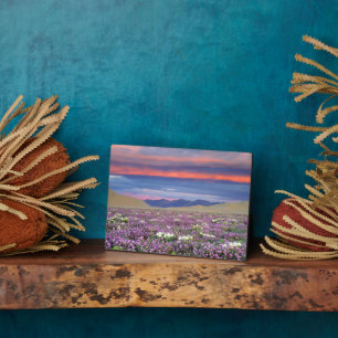 Zand Verbena & Duin Sleutelbloem Wilde Bloemen bij Fotoplaat