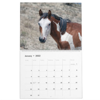 Zand wasbekken 2021 Agenda Kalender