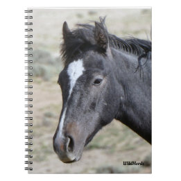 Zand wasbekken Poseidon-laptop Notitieboek