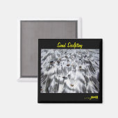 Zandbeeldhouwmagneet Magneet (Voorkant / Achterkant)