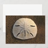 Zanddollade-kabeluitnodiging (kleurenfoto) kaart (Voorkant / Achterkant)