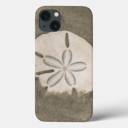 Zanddollar (Echinarachnius parma) Case-Mate iPhone Case (Achterkant)