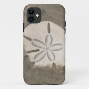 Zanddollar (Echinarachnius parma) iPhone 11 Hoesje