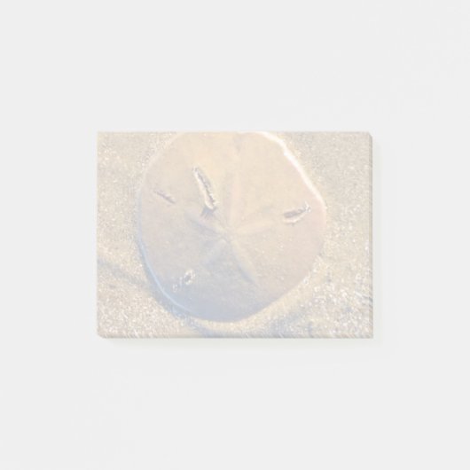 Zanddollar op strand | Hilton Head Island Post-it® Notes (Voorkant)