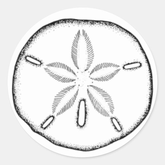 zanddollar ronde sticker (Voorkant)