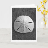 Zanddollar (zwart-wit)-kaart kaart (Gele Bloem)