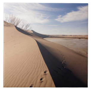 Zandduin-formaties. Bruneau Dunes State Park Tegeltje