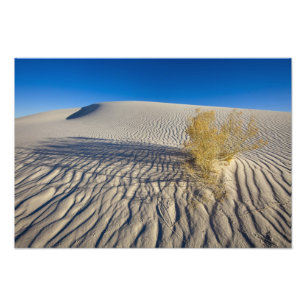 Zandduinen bij White Sands National Monument in 3 Foto Afdruk