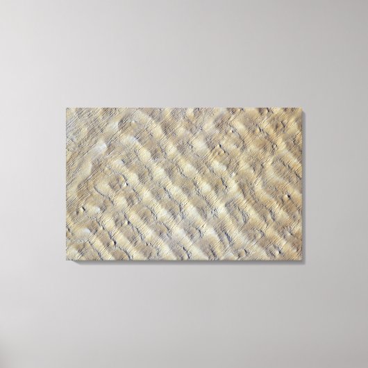 Zandduinen in de Fachi-Bilma erg Canvas Afdruk (Voorkant)