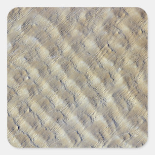 Zandduinen in de Fachi-Bilma erg Vierkante Sticker