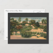  zandduinen in Gary IN Briefkaart (Voorkant / Achterkant)