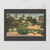  zandduinen in Gary IN Briefkaart (Voorkant)