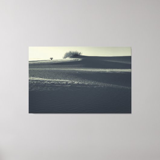 Zandduinen met Yucca Canvas Afdruk (Voorkant)