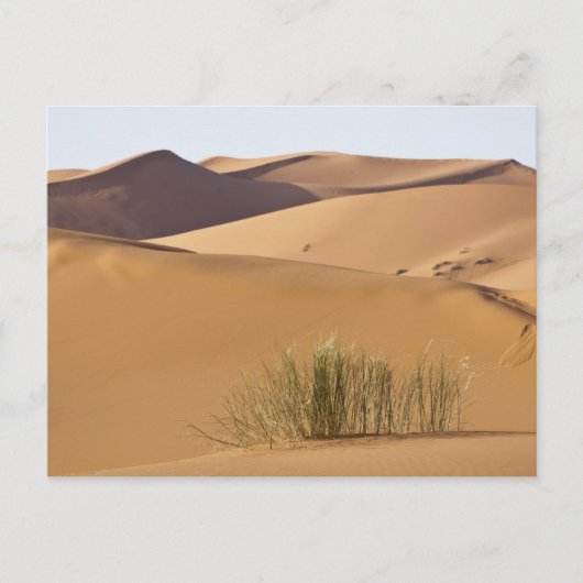 Zandduinen, Sahara, Marokko Briefkaart (Voorkant)