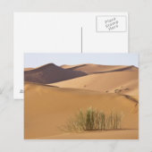 Zandduinen, Saharawoestijn, Marokko Briefkaart (Voorkant / Achterkant)