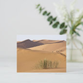 Zandduinen, Saharawoestijn, Marokko Briefkaart (Staand voorkant)