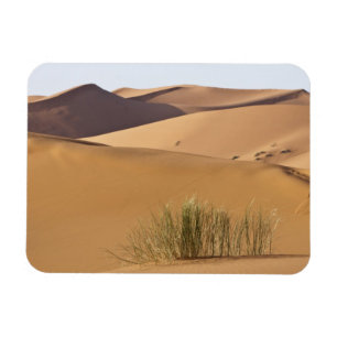 Zandduinen, Saharawoestijn, Marokko Magneet
