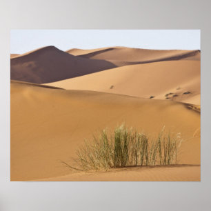 Zandduinen, Saharawoestijn, Marokko Poster