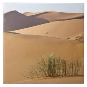 Zandduinen, Saharawoestijn, Marokko Tegeltje