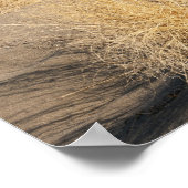 Zandduinen. State Park 2 Bruneau Dunes Poster (Hoek)