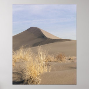 Zandduinen. State Park 2 Bruneau Dunes Poster