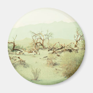 Zandduinen van Death Valley Magneet