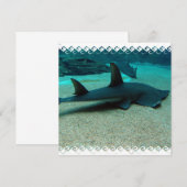 Zandhaaienuitvindingen Kaart (Voorkant / Achterkant)