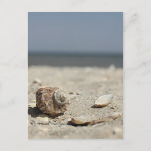 Zandhellingen door de Zee Briefkaart