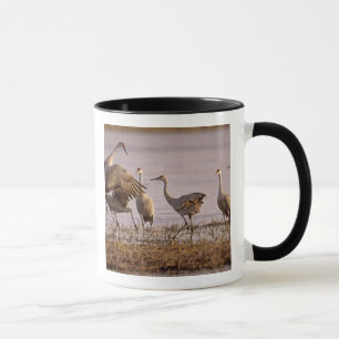 Zandheuvelkraan Grus canadensis) Platte Mok