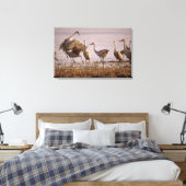 Zandheuvelkraanvogels Grus canadensis) Platte Canvas Afdruk (Insitu (Slaapkamer))