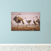 Zandheuvelkraanvogels Grus canadensis) Platte Canvas Afdruk (Insitu (Houten vloer))