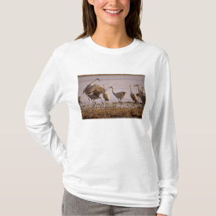 Zandheuvelkraanvogels Grus canadensis) Platte T-shirt