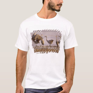 Zandheuvelkraanvogels Grus canadensis) Platte T-shirt