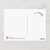 Zandjes tijd... briefkaart (Achterkant)