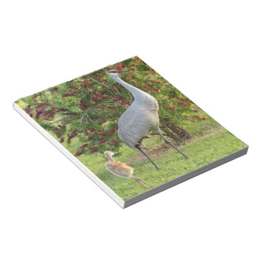 Zandkraan met een kuiken op het Notitieblok met bo (Schuin)