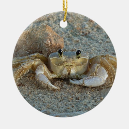 Zandkrab Keramisch Ornament (Voorkant)