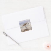 Zandloper op het strand Bird Art Vierkante Sticker (Envelop)