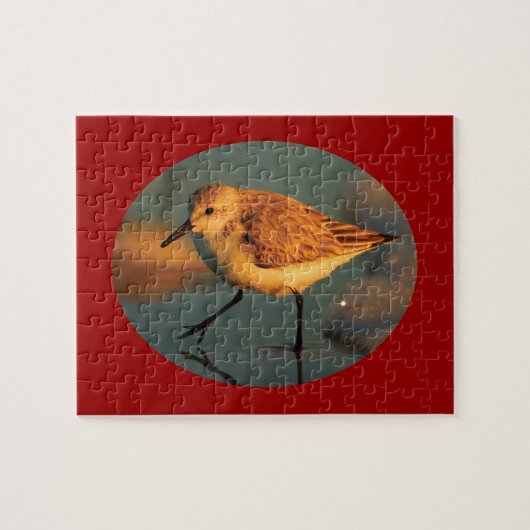 zandpijp legpuzzel (Horizontaal)