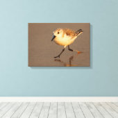 zandpijper canvas afdruk (Insitu (Houten vloer))