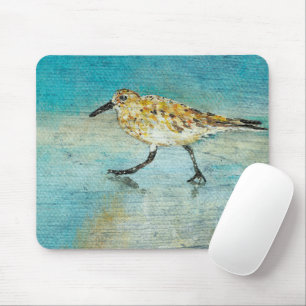 Zandpiper Coastal Bird Wading Ocean Beach Muismat