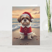 Zandpoten & Kerstsfeer – Kleine Strandkerstman