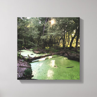 zandpuntspoor canvas afdruk