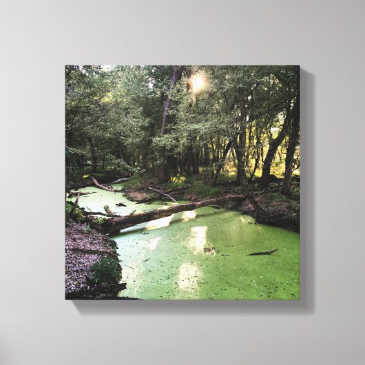 zandpuntspoor canvas afdruk (Voorkant)