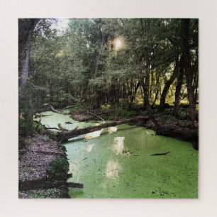 zandpuntspoor legpuzzel