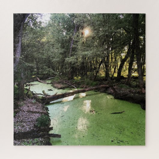 zandpuntspoor legpuzzel (Verticaal)